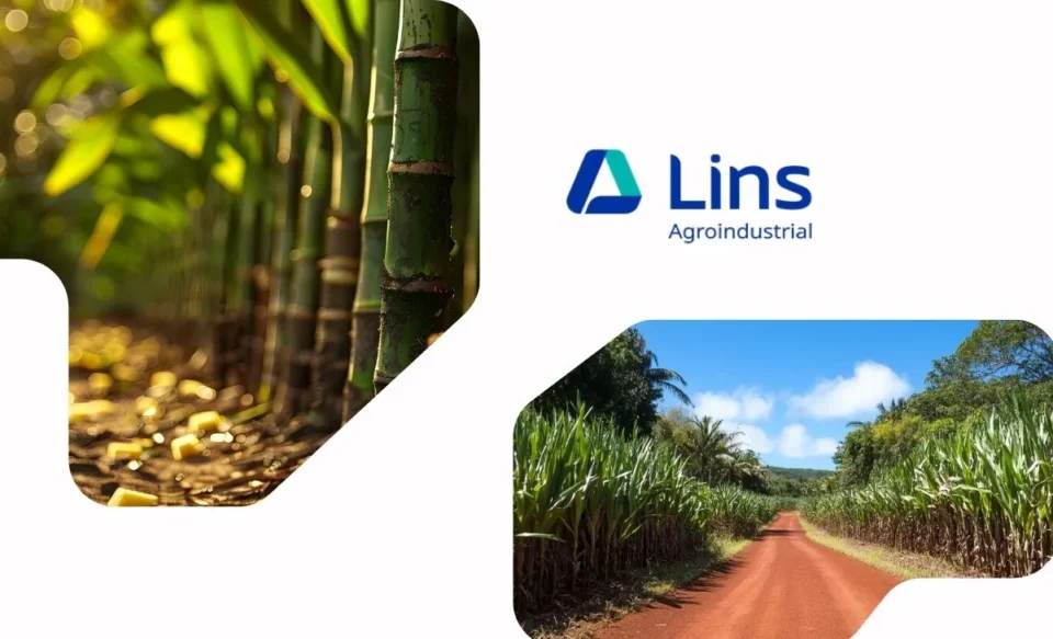 NO CENTRO A IMAGEM TRAZ A LOGOMARCA A EMPRESA LINS, NO LADO DIREITO E ESQUERDO DA IMAGEM, POSSUI FOTOS DE PLANTAÇÕES DE CANA DE AÇÚCAR