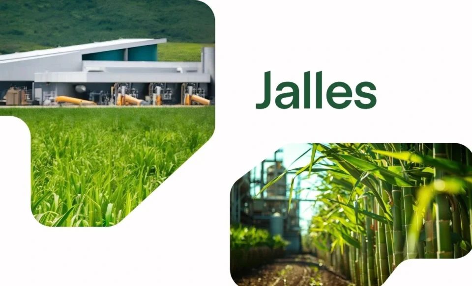 NA IMAGEM TRAZ A LOGOMARCA DA EMPRESA JALLES, NO LADO DIREITO E ESQUERDO DA IMAGEM TRAZ FOTOS DE PLANTAÇÕES RELACIONADAS A AGROINDUSTRIA.