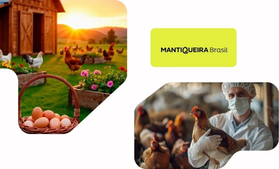 NA IMAGEM TEM A LOGOMARCA DA MANTIQUEIRA DO BRASIL E FOTOS DE VETERINÁRIO CUIDANDO DE GALINHAS