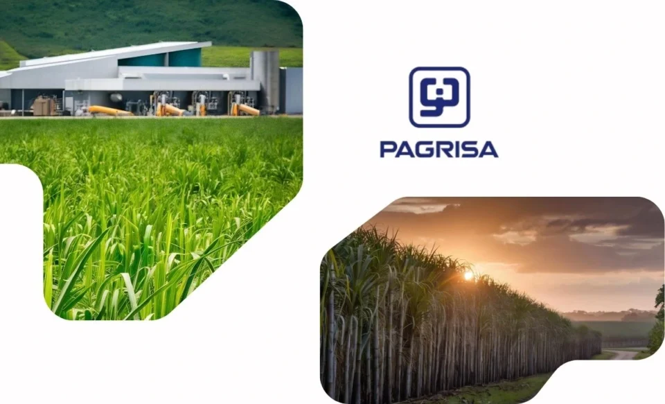 na imagem tem a logomarca da empresa pagrisa e fotos de plantações de cana-de-açúcar.