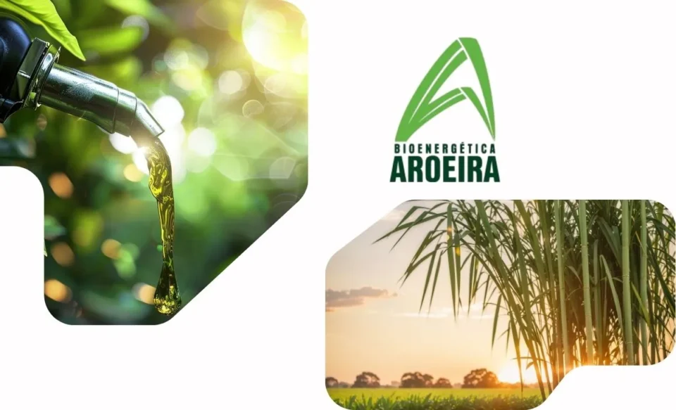 NA IMAGEM TEM A LOGOMARCA DA EMPRESA BioAroeira E FOTOS DE PLANTAÇÃO COM CANA-DE-AÇÚCAR.