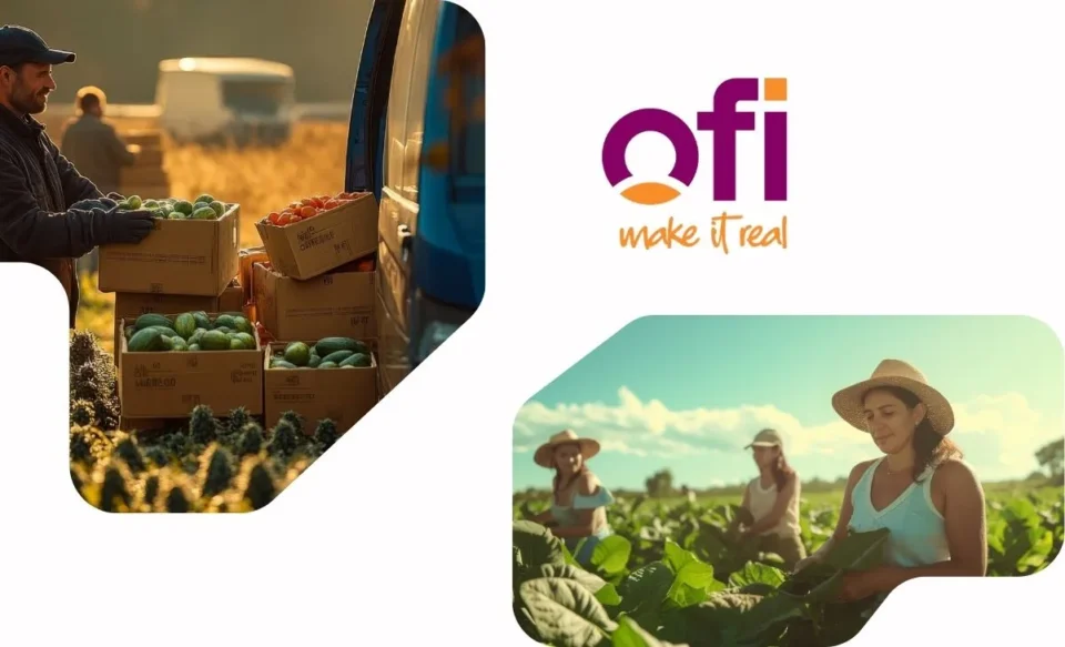 PROGRAMA TRAINEE OFI