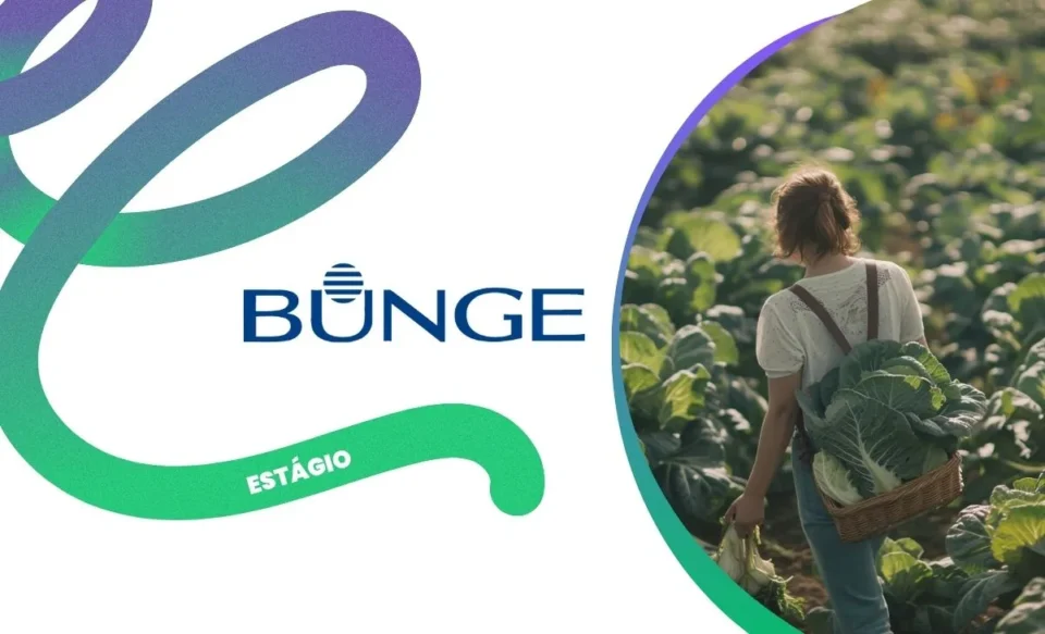Estágio Bunge 2026