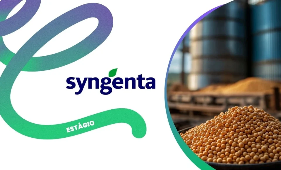 programa de estágio Syngenta 2026