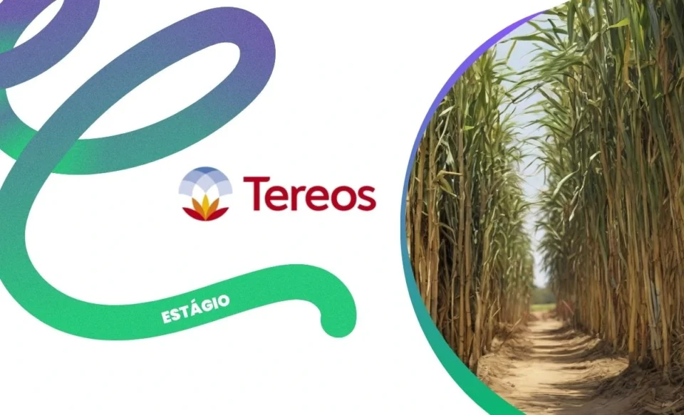programa de estágio Tereos 2026