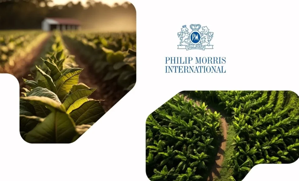 Trainee Philip Morris 2026