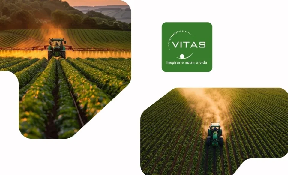 programa de trainee vitas brasil 2026